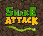 Snake Attack 