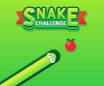 snake challenge 2022